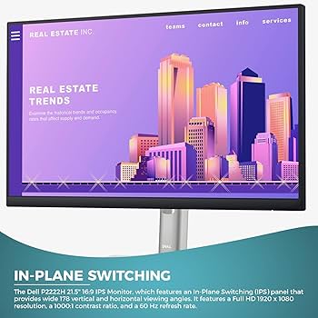 DELL P2222H 22インチ モニター 本体 s-l1200.jpg